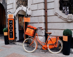 bicicletta, fiori, arancione, arancio, insegna, vasi, negozio, cassetta