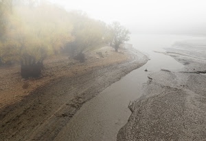 fiume, nebbia, alberi, acqua, verde, riva, collina, fango, autunno, giallo, lago, foschia, canale, sassi