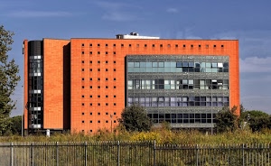 palazzo, finestre, cielo, alberi, vetrate, azzurro, nuvole, edificio, cancellata, verde, recinzione, arancione, periferia, erba, cespugli, moderno, marrone, vetri