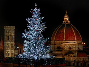 cupola, albero, luci, campanile, natale, luminarie, firenze, notturno, notte, chiesa, torre, duomo, illuminazione, finestre, giotto