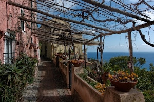 pergolato, mare, piante, vasi, fiori, verde, case, finestre, azzurro, cielo, vicolo, ombre, casa, terrazza, via, scorcio, rami