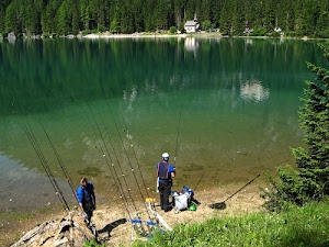 lago, verde, canne, pescatori, acqua, alberi, due, pesca, chiesa, riflesso, riflessi, bosco, casa, chiesetta, abeti, hobby
