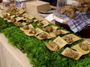 verde, tartufi, prezzi, tartufo, erba, carta, esposizione, funghi, cibo, mercato