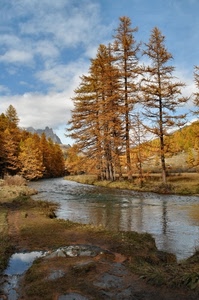 alberi, fiume, autunno, montagna, acqua, nuvole, cielo, abeti, torrente, larici