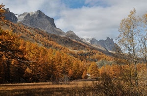 alberi, autunno, montagne, nuvole, montagna, cielo, abeti, bosco, panorama