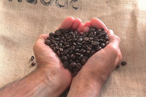 mani, caffè, chicchi, sacco, cuore, tela, juta, iuta
