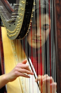 arpa, corde, donna, mani, musicista, musica, suonare, arpista