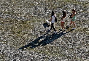 tre, cane, ombre, ragazze, donne, strada, camminare, borse, selciato