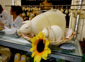 girasole, formaggi, formaggio, fiore, giallo, bianco, negozio, caciocavallo, piatto, spago, donne, cibo, scamorze, maiali, banco, cestino, maiale, cesto, bancone, appesi, forme, maialini, maialino, salumeria