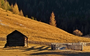 alberi, staccionata, baita, legno, montagna, staccionate, erba, nero, strada, autunno, giallo, steccato, recinti, ombre, collina, capanno, recinto, sentiero, montagne, notturno
